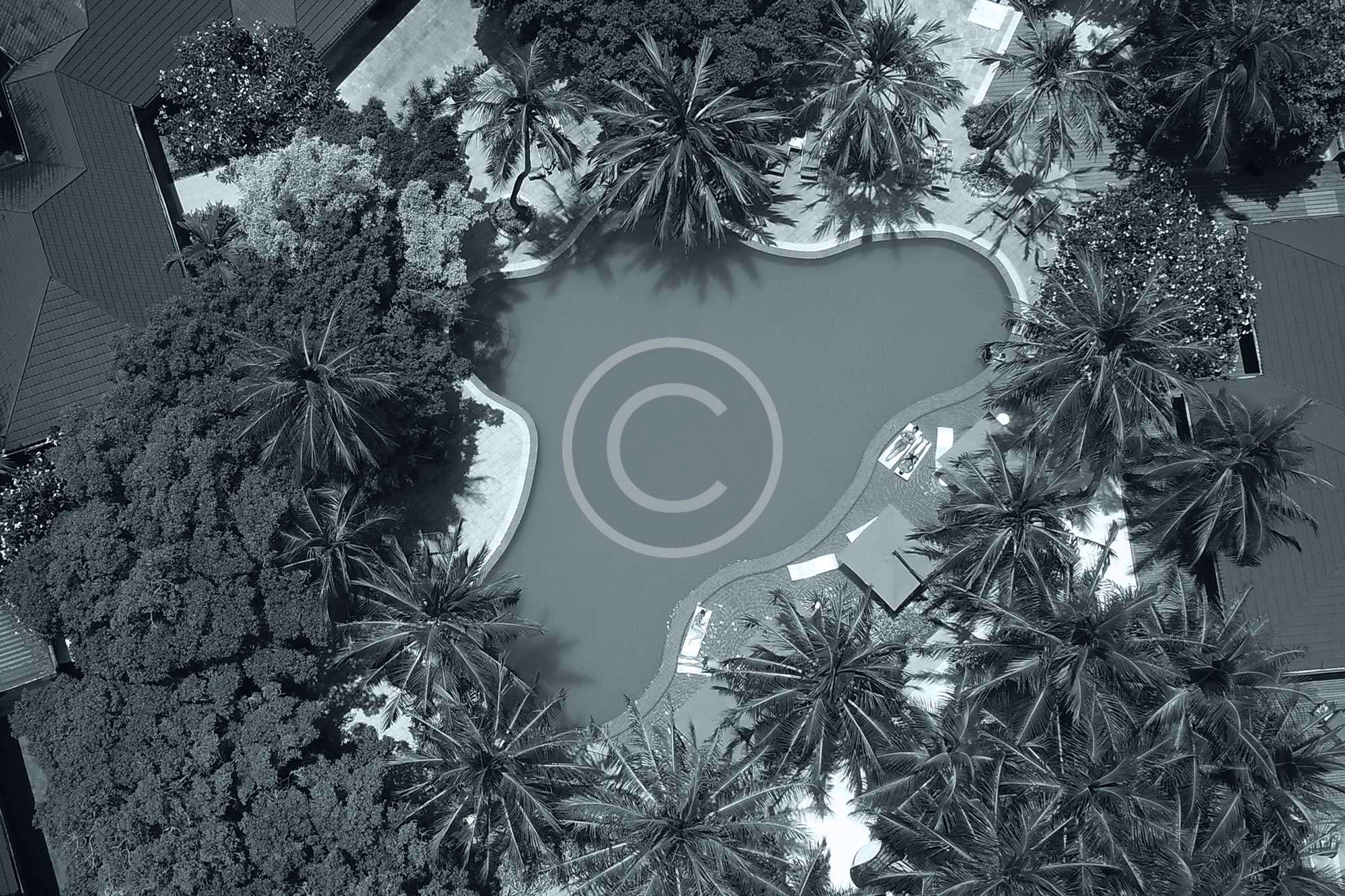 How to Film Amazing Aerials with Your Drone